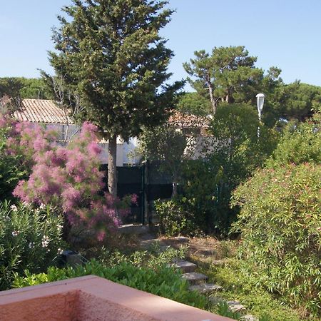 Lara 2 - T2 Balcon Piscine Lit Double & Clic-Clac Parking Pres Du Centre-Port Et Ile Loisirs 阿格德 外观 照片