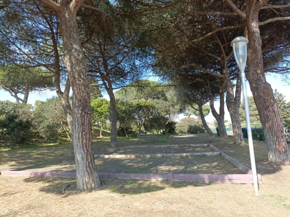 Lara 2 - T2 Balcon Piscine Lit Double & Clic-Clac Parking Pres Du Centre-Port Et Ile Loisirs 阿格德 外观 照片